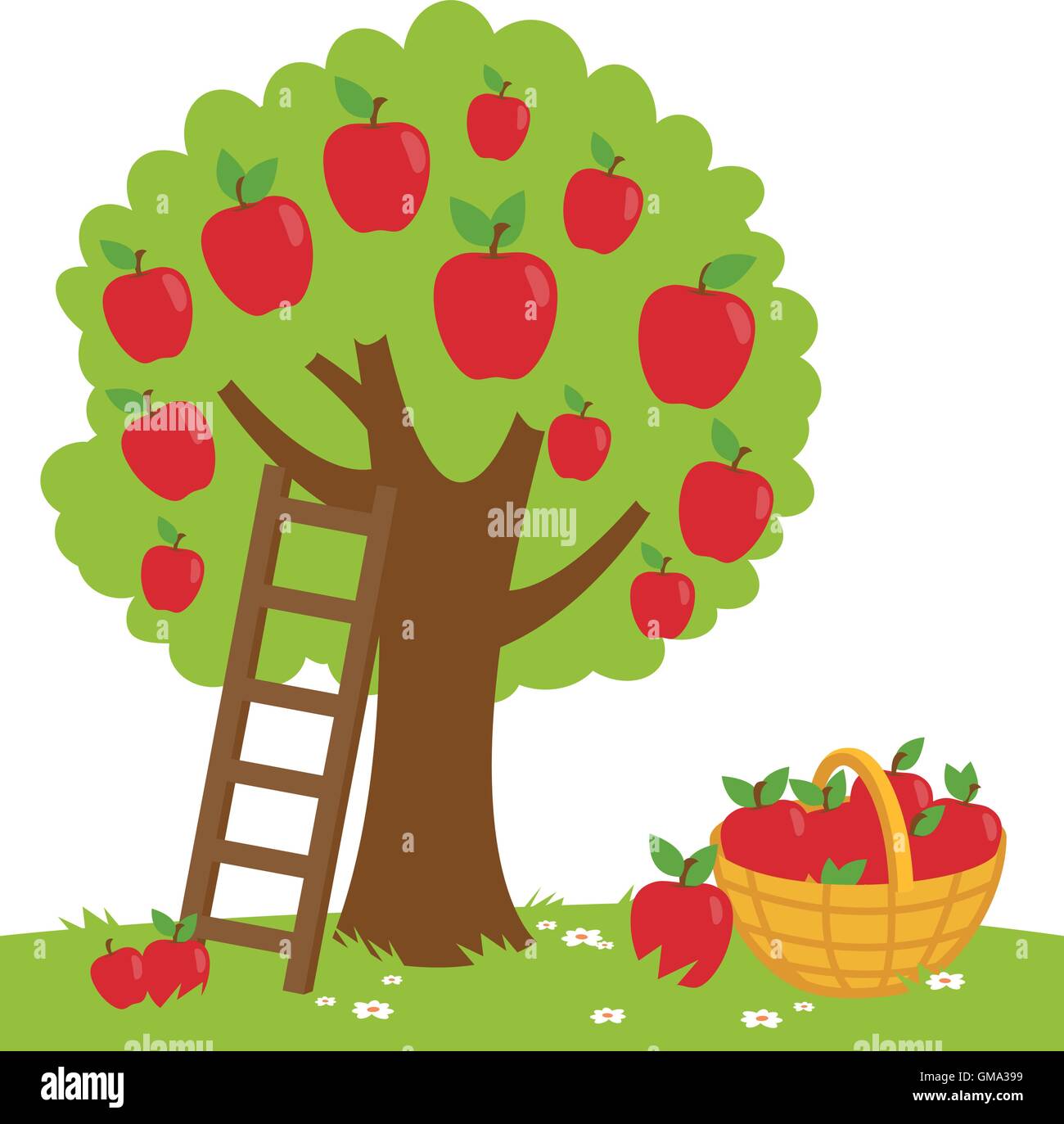 Vektor-Illustration von einem Apfelbaum, eine Leiter und einen Korb mit  geernteten Äpfel Stock-Vektorgrafik - Alamy