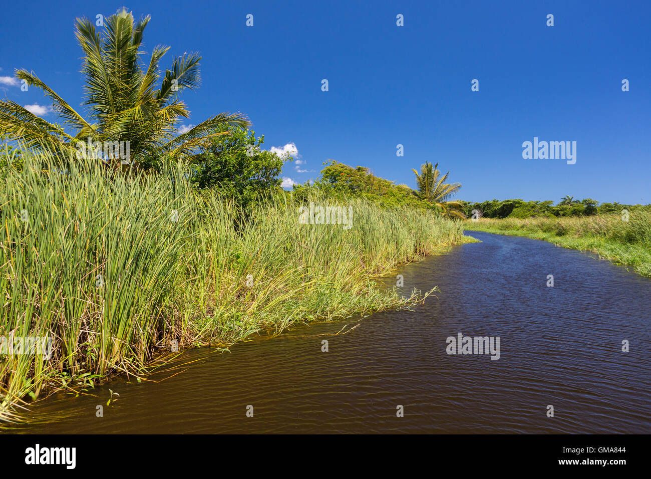 Dominikanische Republik - Yasica River Stockfoto