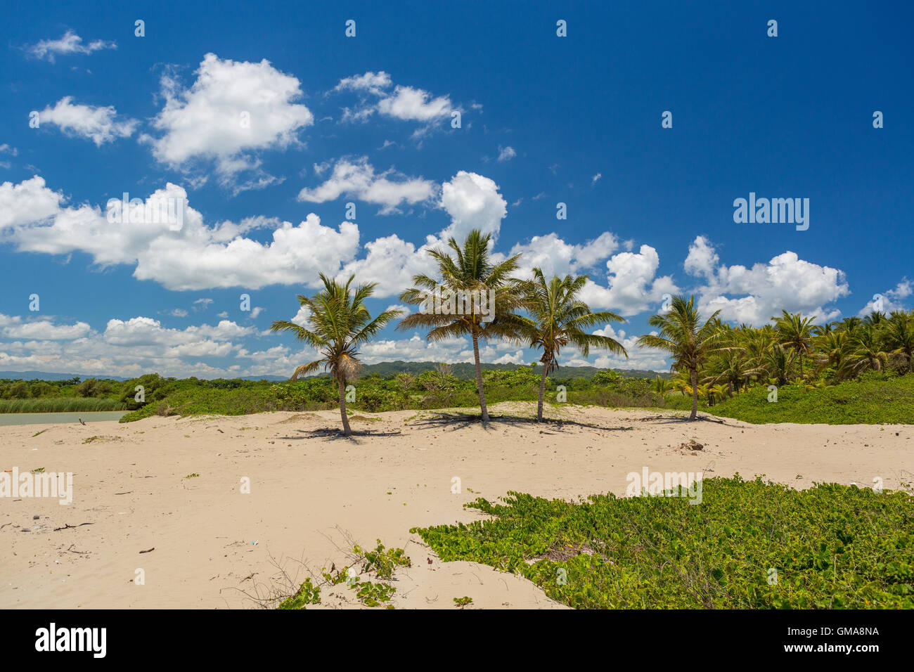 Dominikanische Republik - Strand Landschaft mit Palmen an der Mündung des Yasica Flusses, in der Nähe von Cabarete. Stockfoto