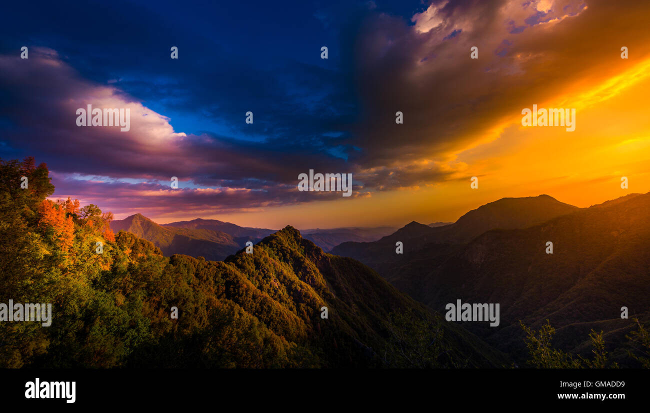 Ansicht von Generals Highway Sequoia National Park bei Sonnenuntergang Stockfoto