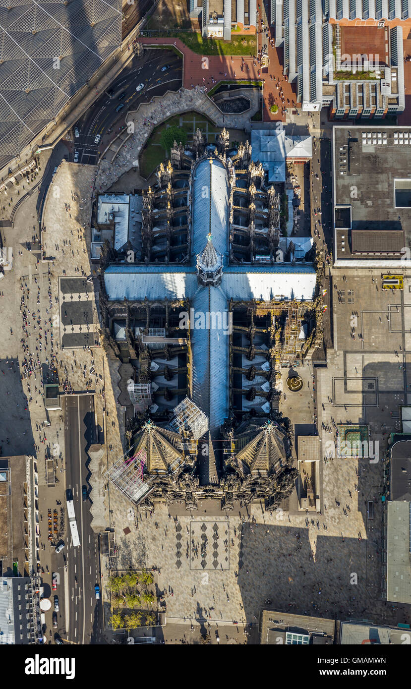 Luftaufnahme, senkrecht Aufnahme des Kölner Doms mit Kuppel, Kreuz, Köln, Rheinland, Nordrhein-Westfalen Stockfoto