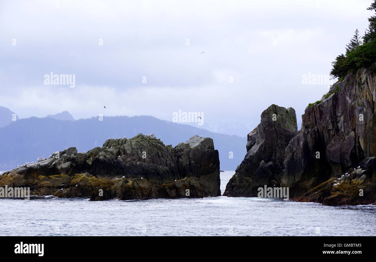 Felsformationen mitten im Meer im Kenai Fjords National Park, Seward, Alaska Stockfoto