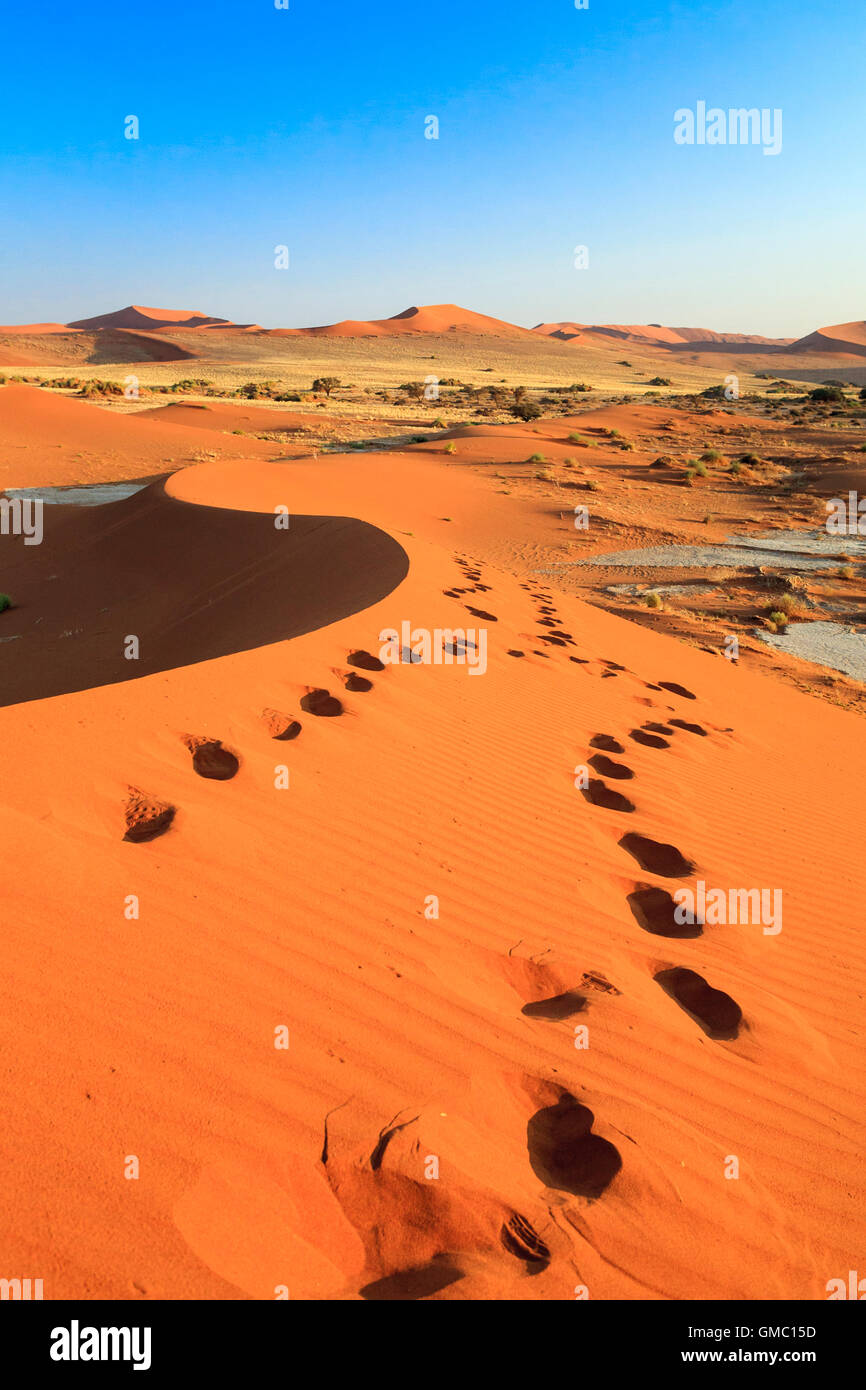 Fußspuren auf den Sanddünen geprägt durch den Wind Deadvlei Sossusvlei Wüste Namib Naukluft National Park in Namibia Afrika Stockfoto