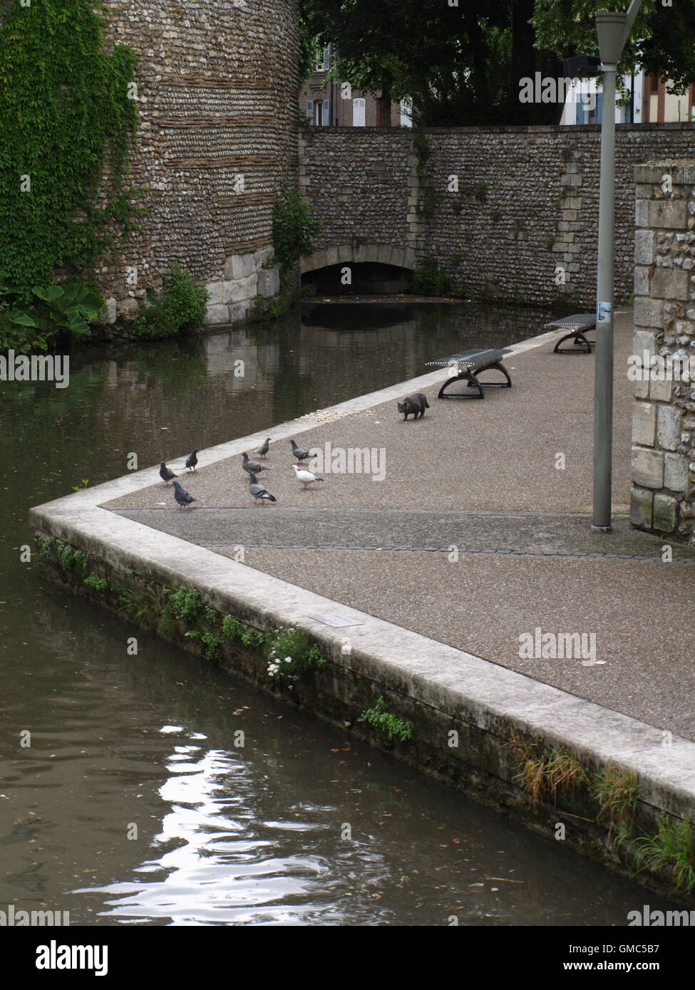 Fluss Iton durchströmenden Evreux mit Katze stalking Tauben auf Bürgersteig Stockfoto