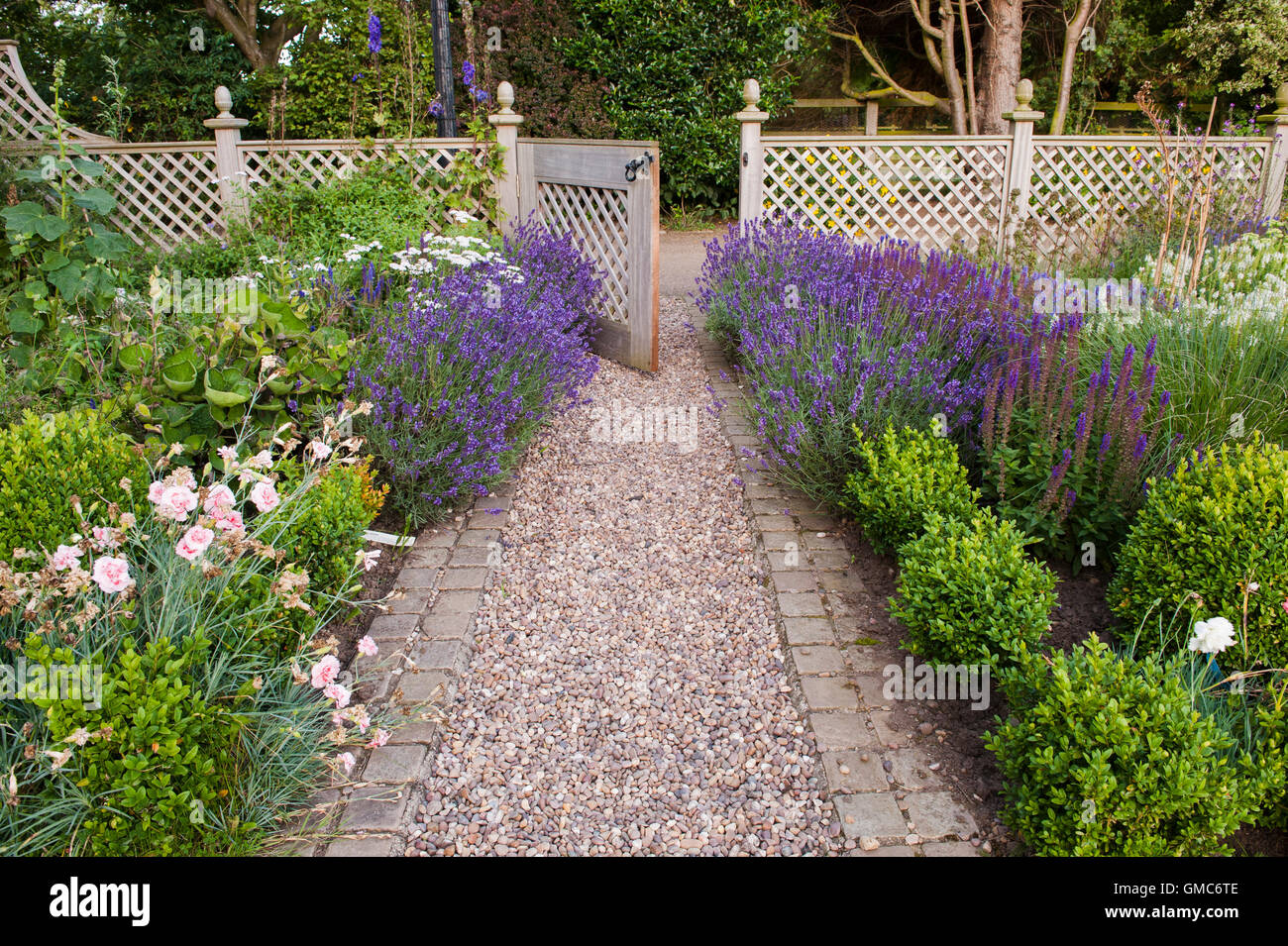 Geöffnete Tor, Pfad und Lavendel Blüten in schönen, traditionellen, gestaltete, gepflegten, privaten Garten - North Yorkshire, England. Stockfoto