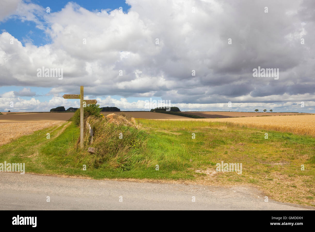 Ein Wegweiser aus Holz auf die Wolds Weise öffentlichen Fußweg in den malerischen Yorkshire Wolds im Sommer. Stockfoto