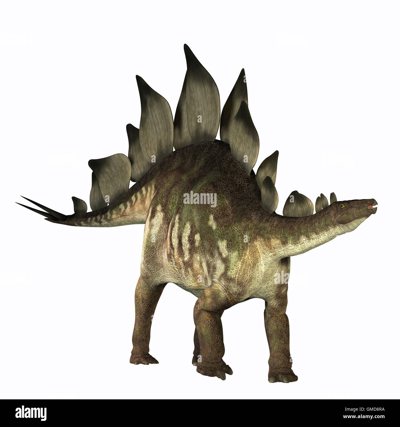 Stegosaurus 01 Stockfoto