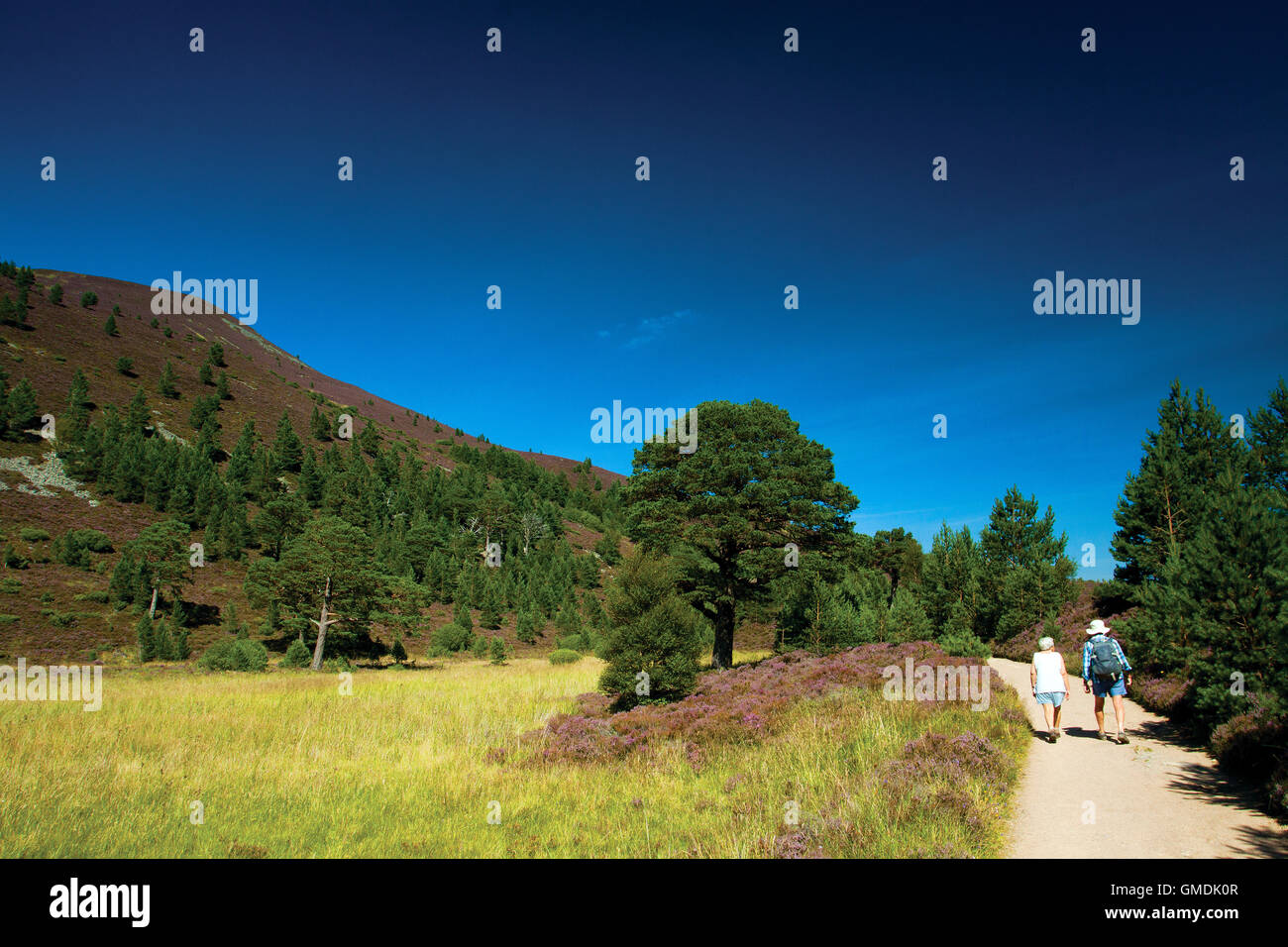 Rathad Nam Meirleach, The Thieves Road, The Cateran Trail, Glen More, Cairngorm National Park Stockfoto