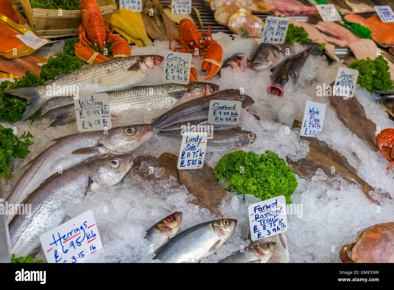 Fischtheke Stockfoto