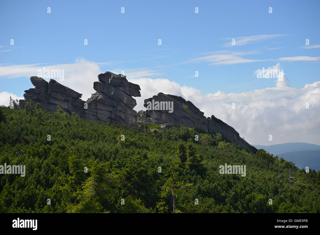 Felsen-Pferdeköpfe auf dem Berg Szrenica im Nationalpark Riesengebirge Stockfoto
