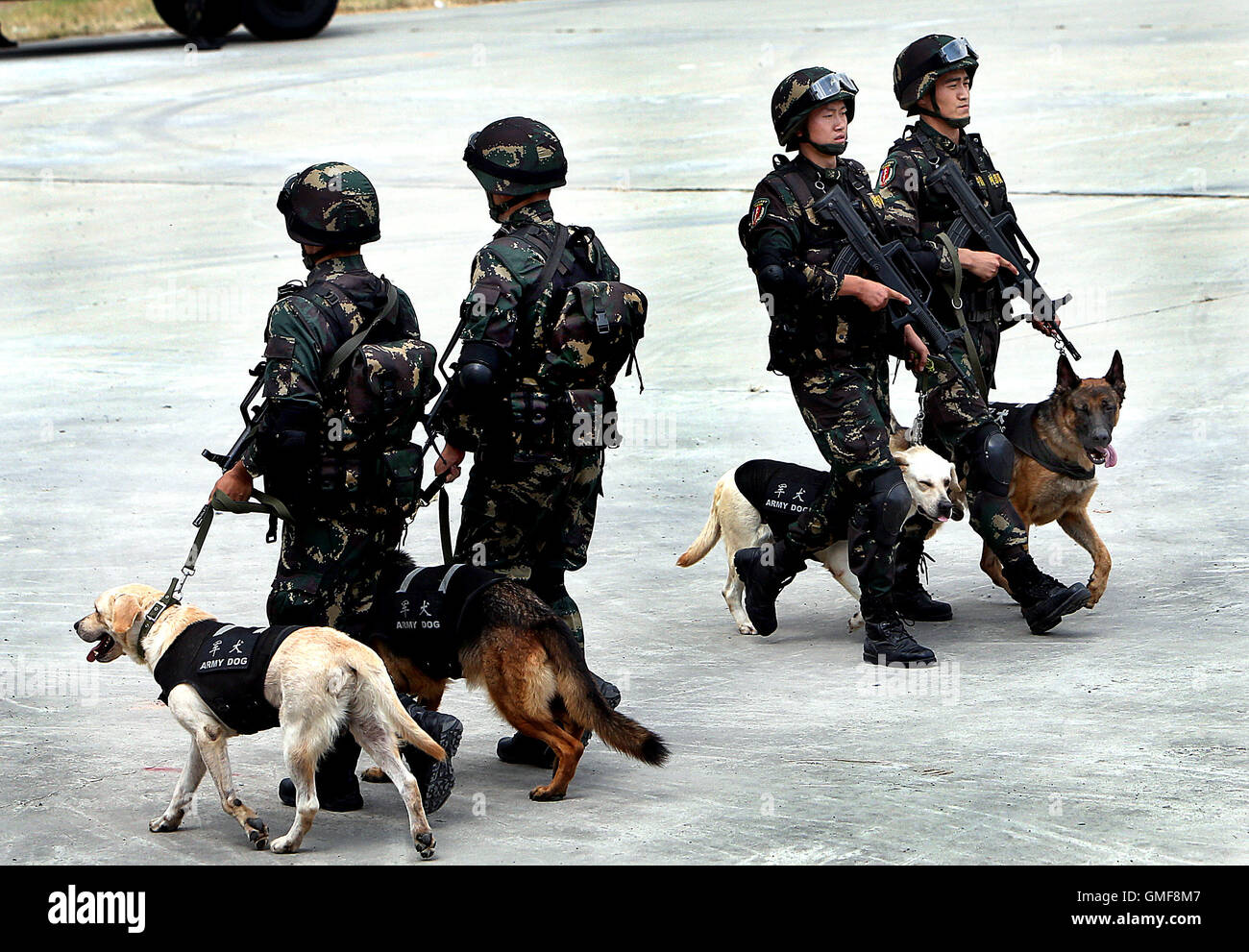Shanghai, China. 26. August 2016. Soldaten patrouillieren mit Hunden während einer anti-Terror Bohren in Shanghai, Ost-China, 26. August 2016. Bildnachweis: Fan Jun/Xinhua/Alamy Live-Nachrichten Stockfoto
