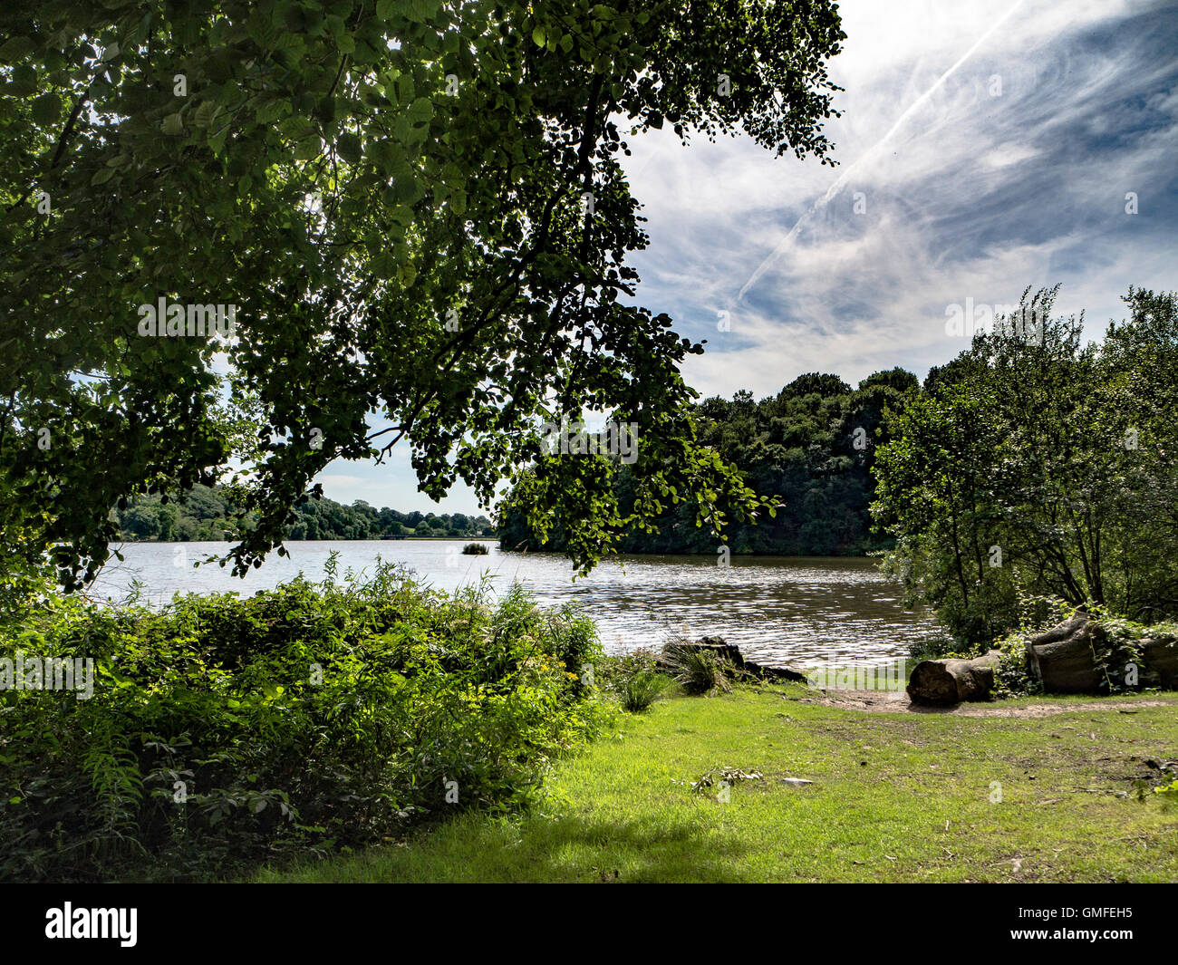 Seenlandschaft Stockfoto