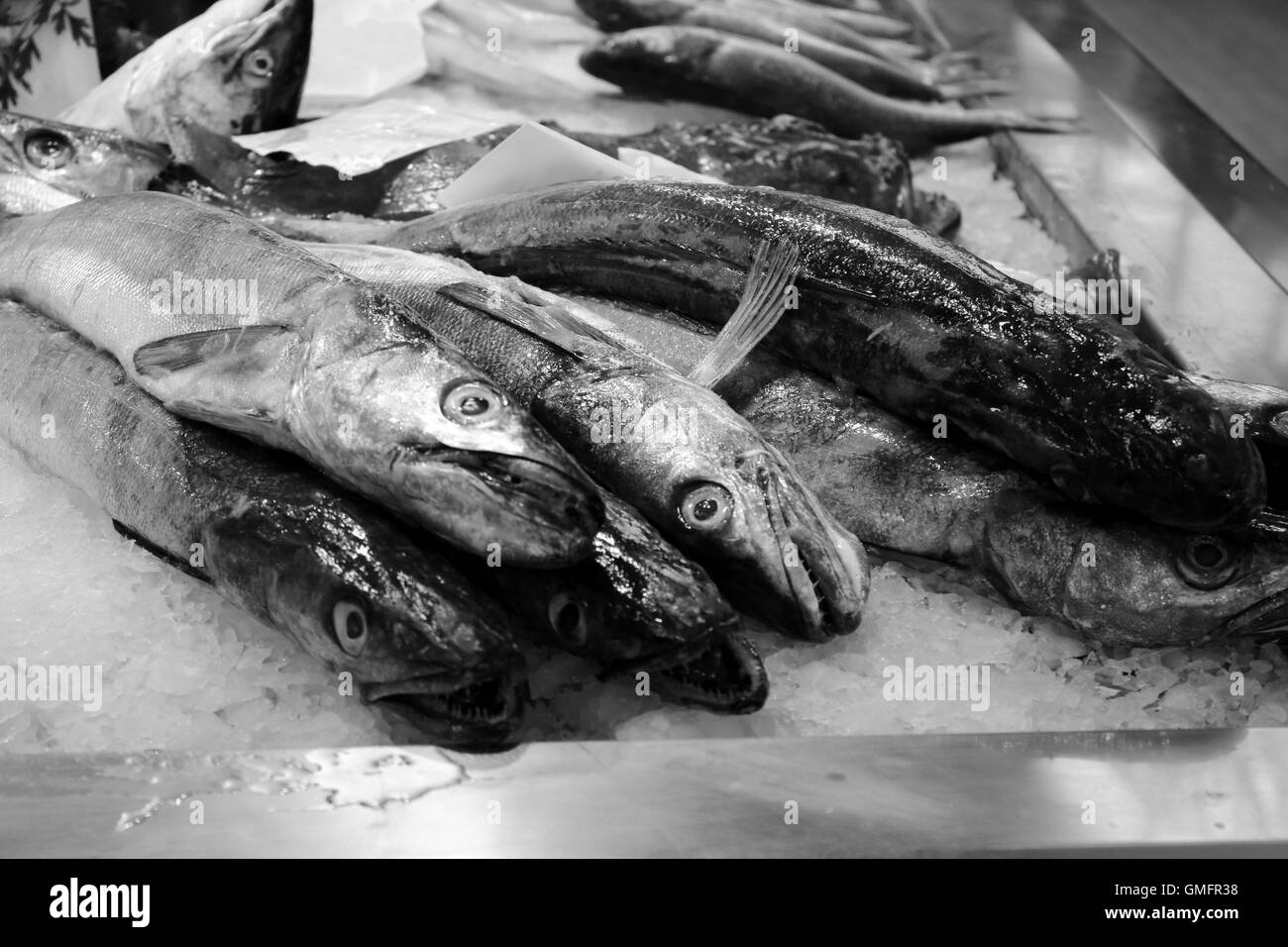 Fischmarkt in einer südlichen Städten Europas Stockfoto