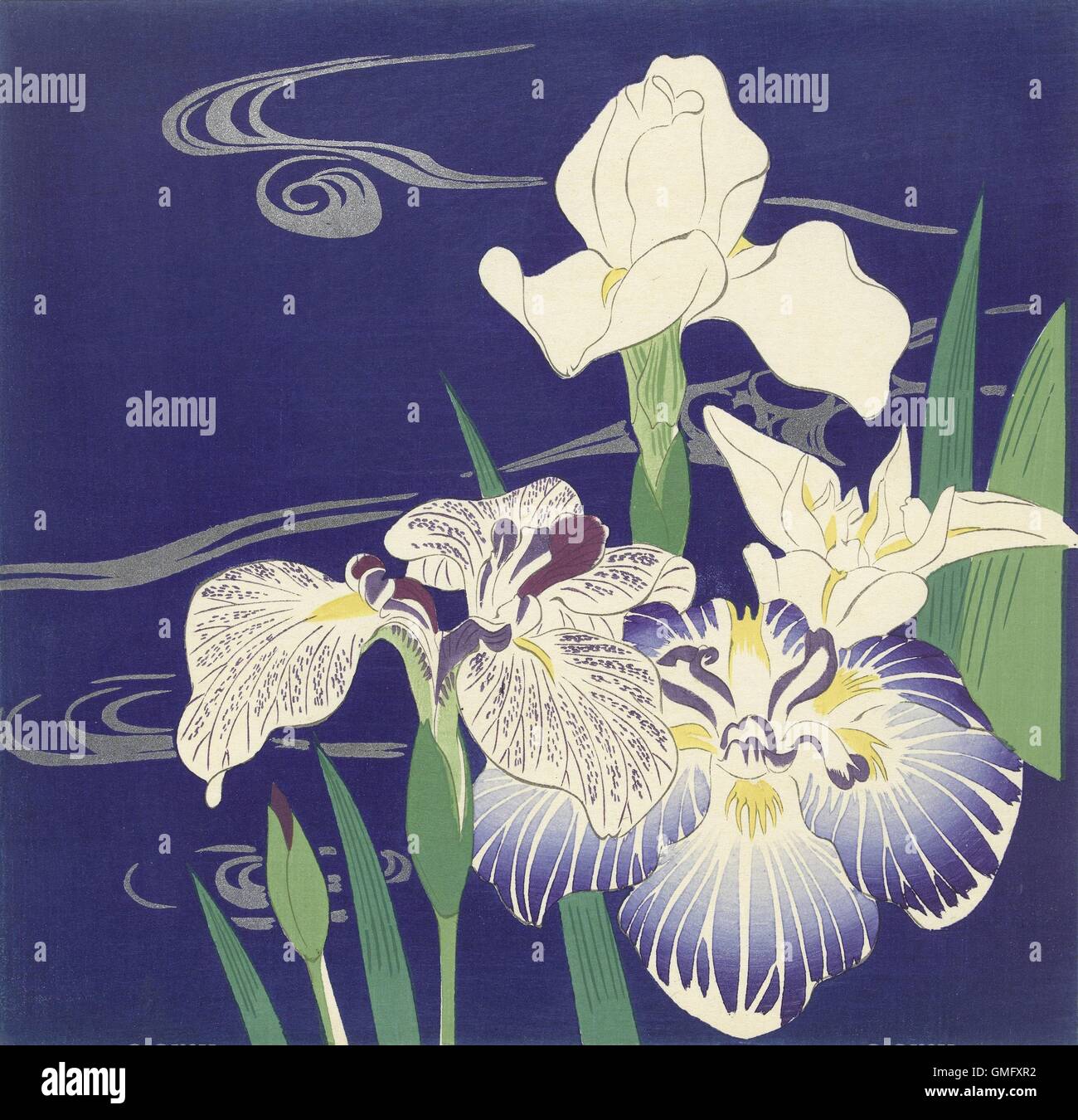 Iris von Tsukioka Kogyo, ca. 1890-1900, japanische Print, Farbe Holzschnitt. Blühende Iris vor dem tiefblauen Hintergrund, mit Wasser (BSLOC 2016 2 283) Stockfoto