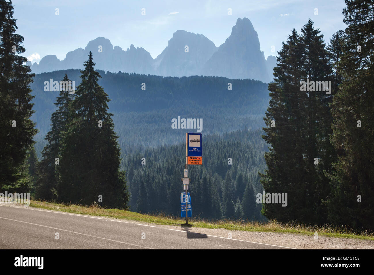 Dolomiten, Trentino, Italien. Eine Bushaltestelle in der Parco Naturale di Paneveggio mit den Gipfeln der Pale di San Martino über Stockfoto
