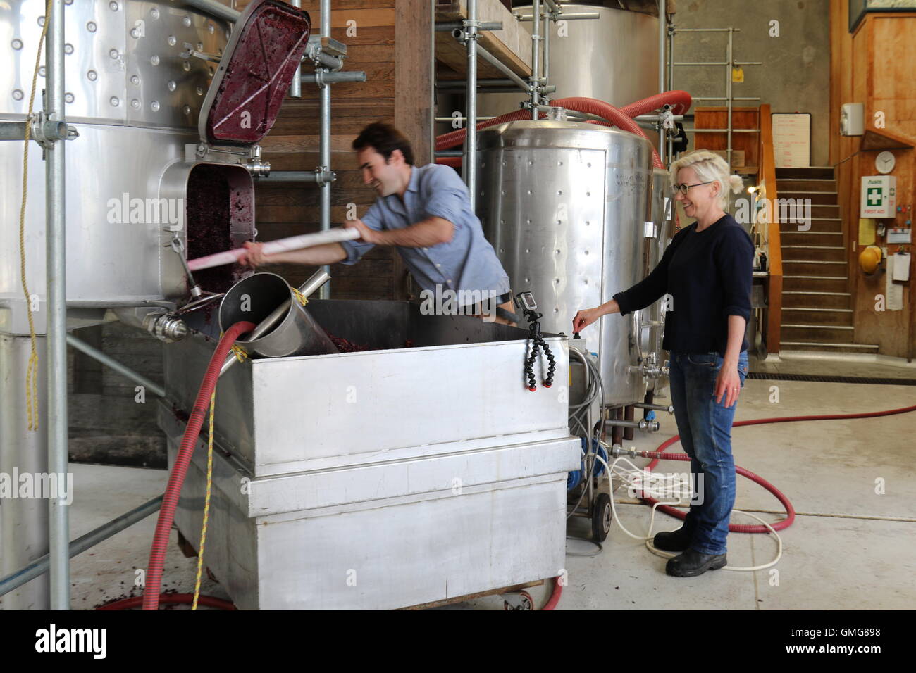Weingut Arbeiter in Ata Rangi Weinberg & Winery, Martinborough, Neuseeland Stockfoto