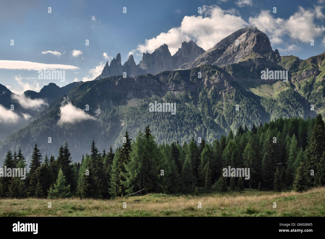 Die Dolomiten, Trentino, Norditalien. Die Cima della Venegiota, Mt Mulaz und die Pale di San Martino im Sommer Stockfoto