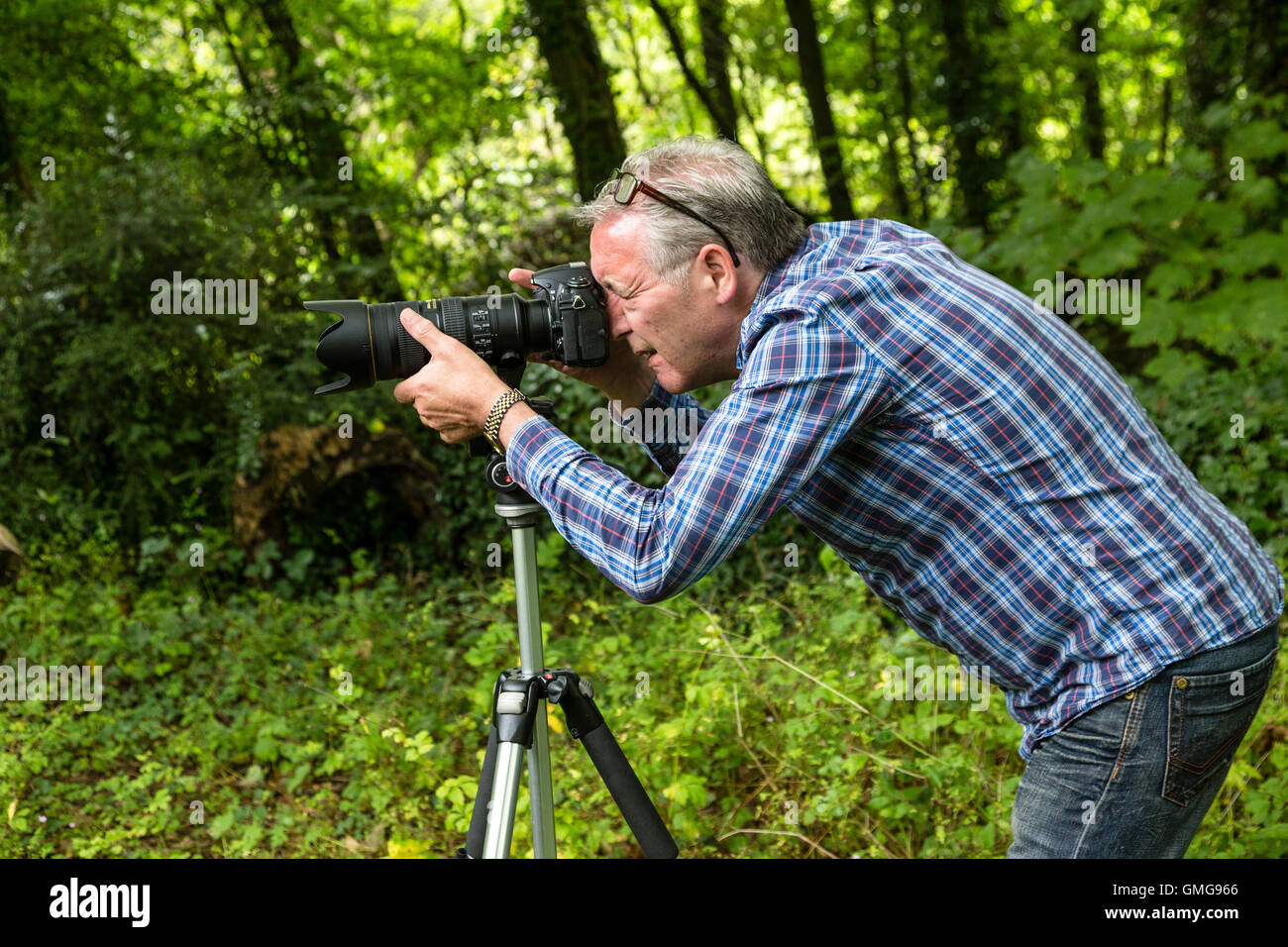 Mann mit der Kamera auf Stativ im Wald, Irland Stockfoto