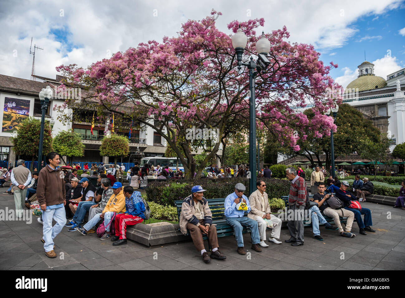 Menschen aller Altersgruppen treffen auf dem Platz der Unabhängigkeit in Altstadt Quito, Ecuador. Stockfoto