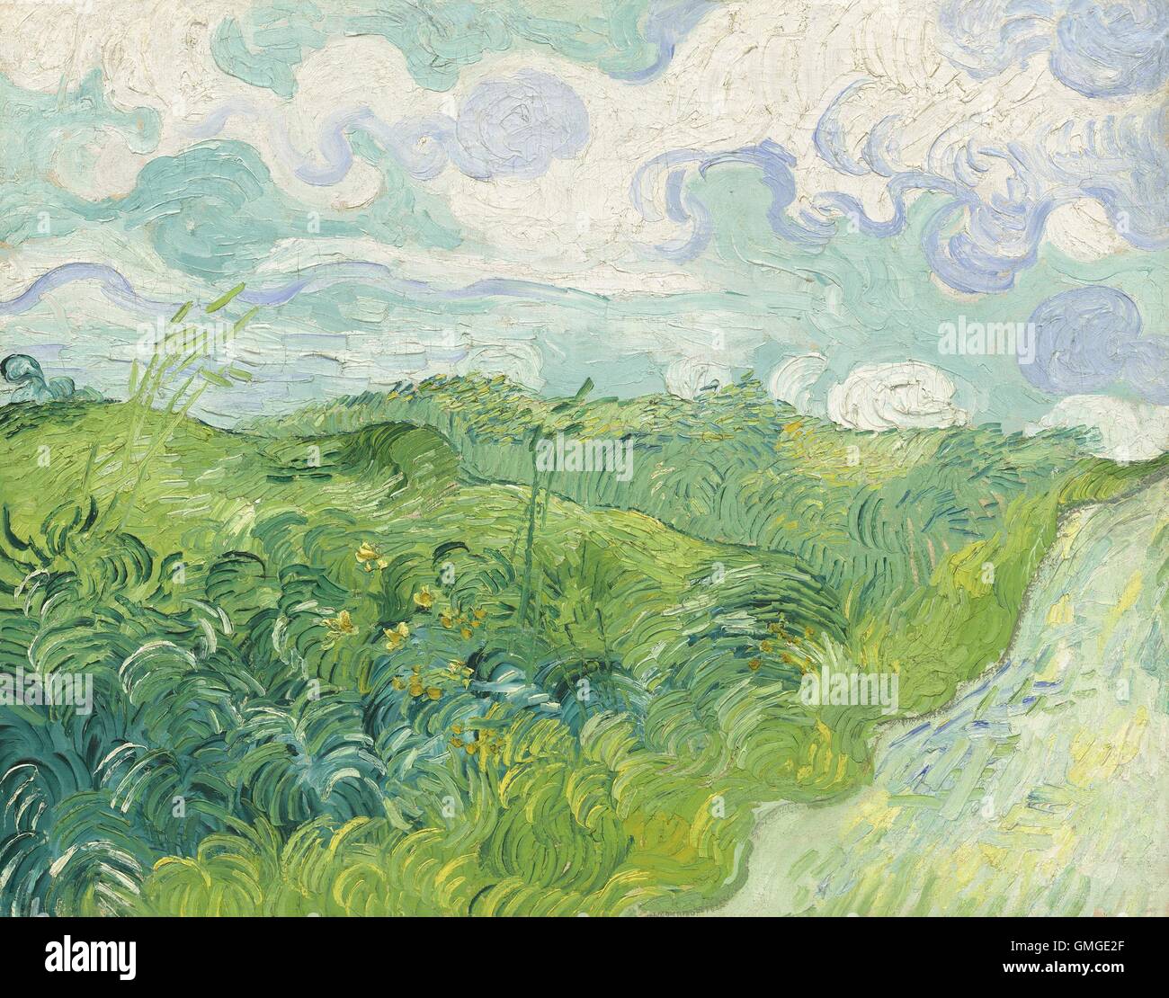 Grüne Weizenfelder, Auvers von Vincent Van Gogh, 1890, niederländische