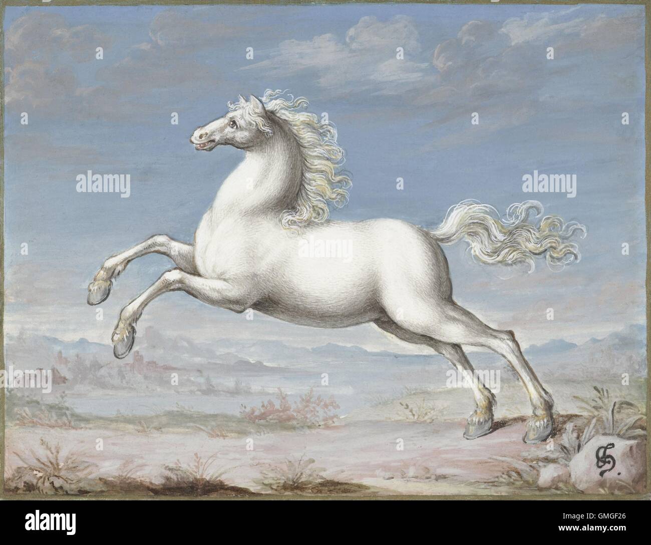 Weißes Pferd, Joris Hoefnagel, 1560-99, flämische Malerei, Gouache auf Pergament. Hoefnagel war der letzte wichtige flämische Manuskript Illuminator. Er schuf auch eine mehrbändige Buch der Naturgeschichte Miniaturen (BSLOC 2016 6 322) Stockfoto