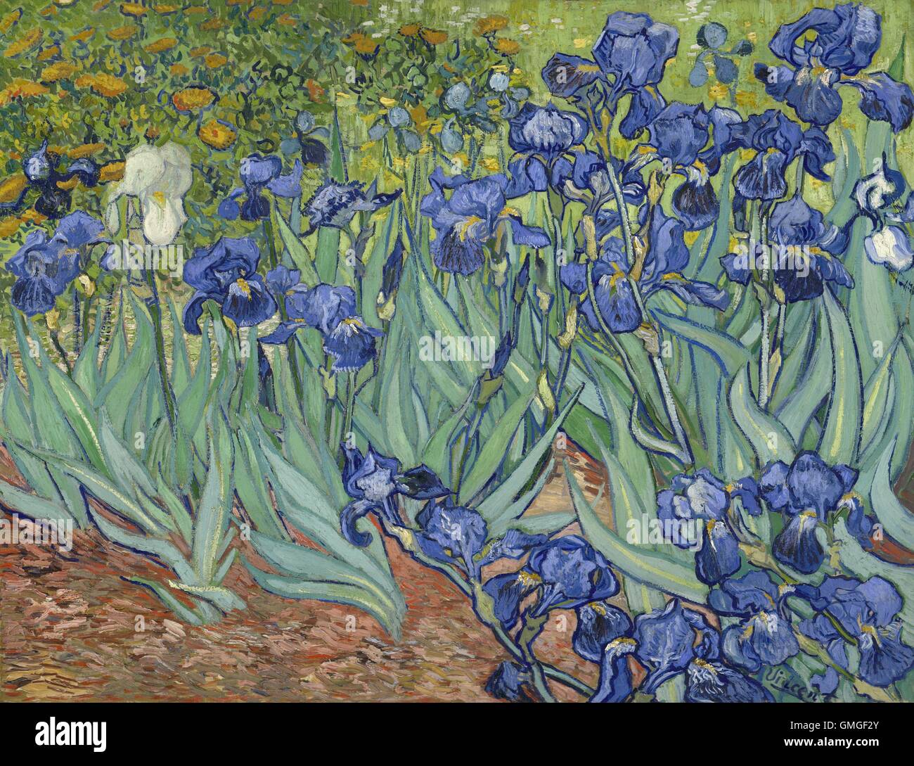 Schwertlilien von Vincent Van Gogh, 1889, niederländische Post