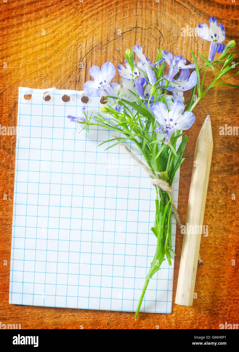 Hinweis und Blumen Stockfoto