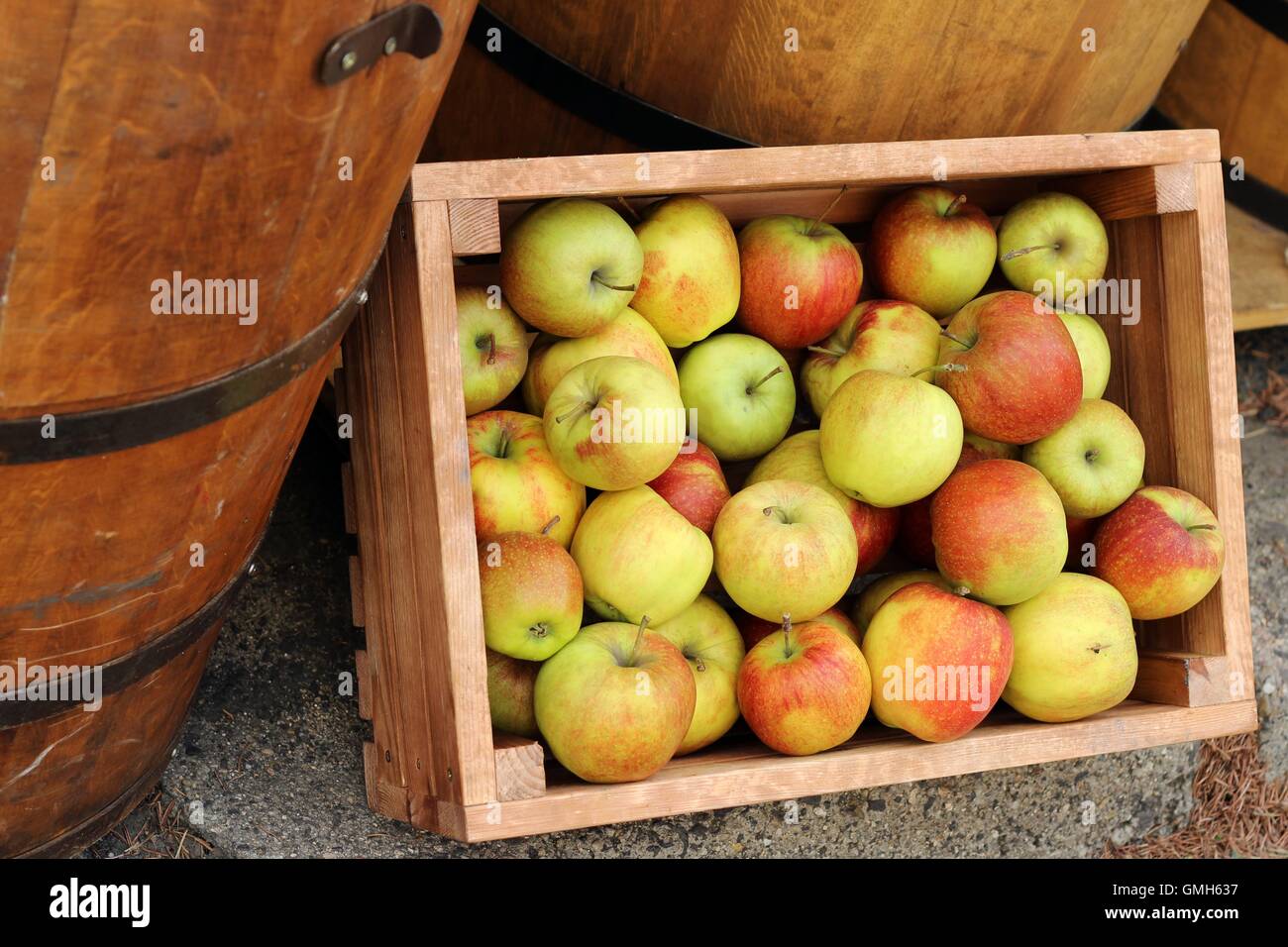 Äpfel auf dem Hintergrund der Holzfässer - Cidre-Produktion Stockfoto