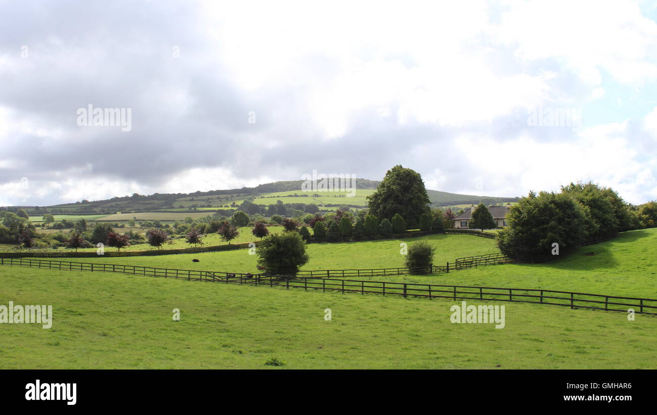 Green Fields in Kinnitty, in der Nähe von Birr Stadt, Grafschaft Offaly, Irland Stockfoto