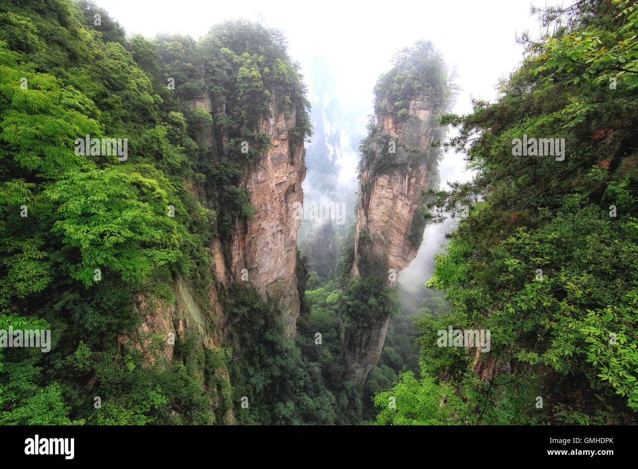 Nationalpark Zhangjiajie Hunan, beliebte Republik China Stockfoto