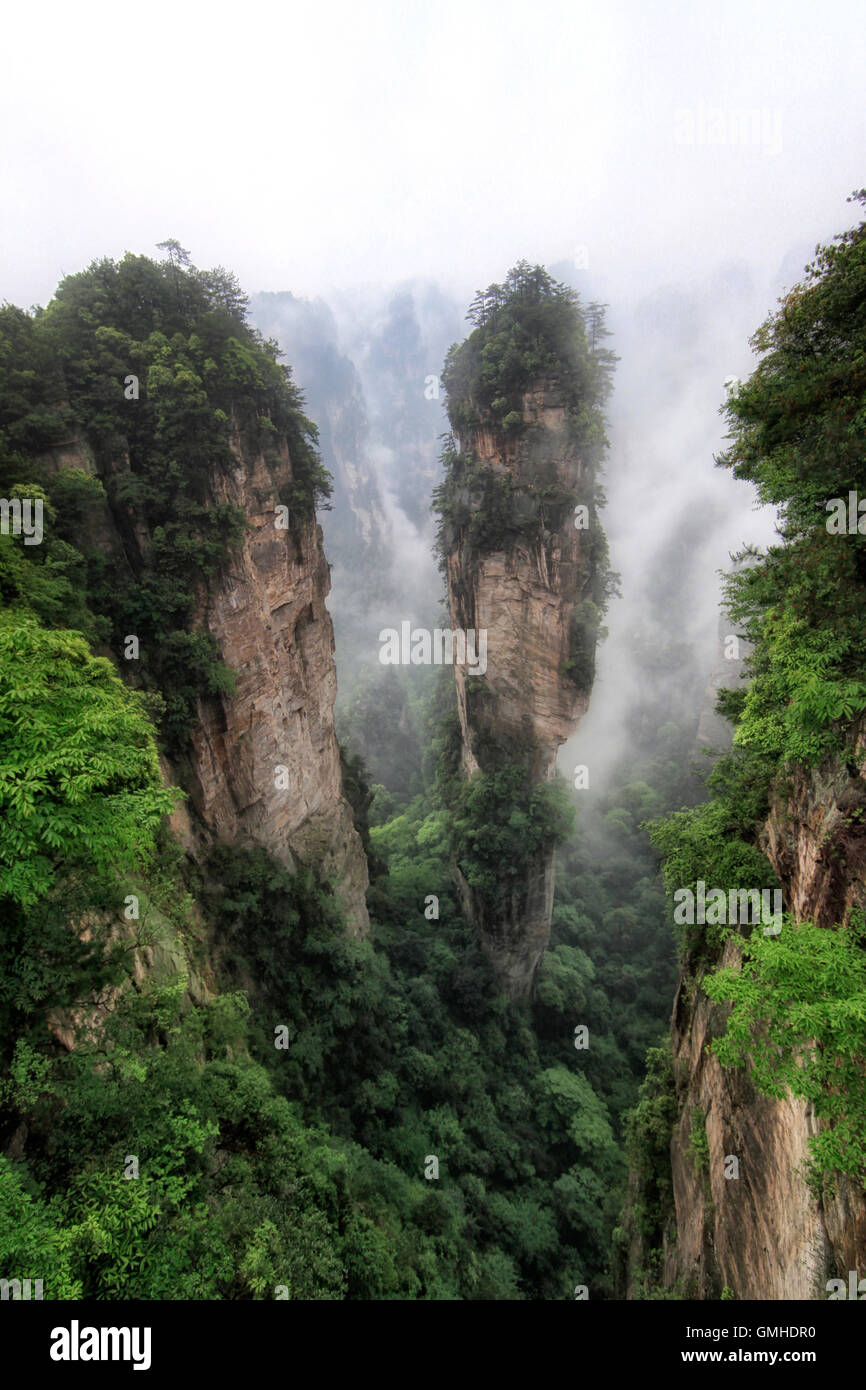 Nationalpark Zhangjiajie Hunan, beliebte Republik China Stockfoto