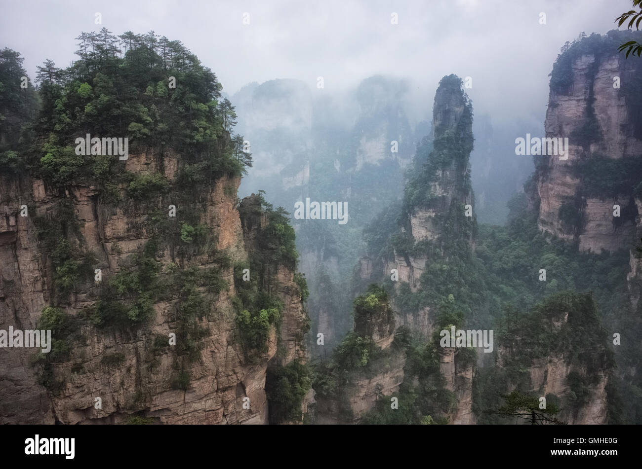 Nationalpark Zhangjiajie Hunan, beliebte Republik China Stockfoto