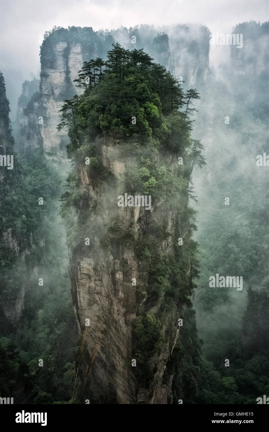 Nationalpark Zhangjiajie Hunan, beliebte Republik China Stockfoto