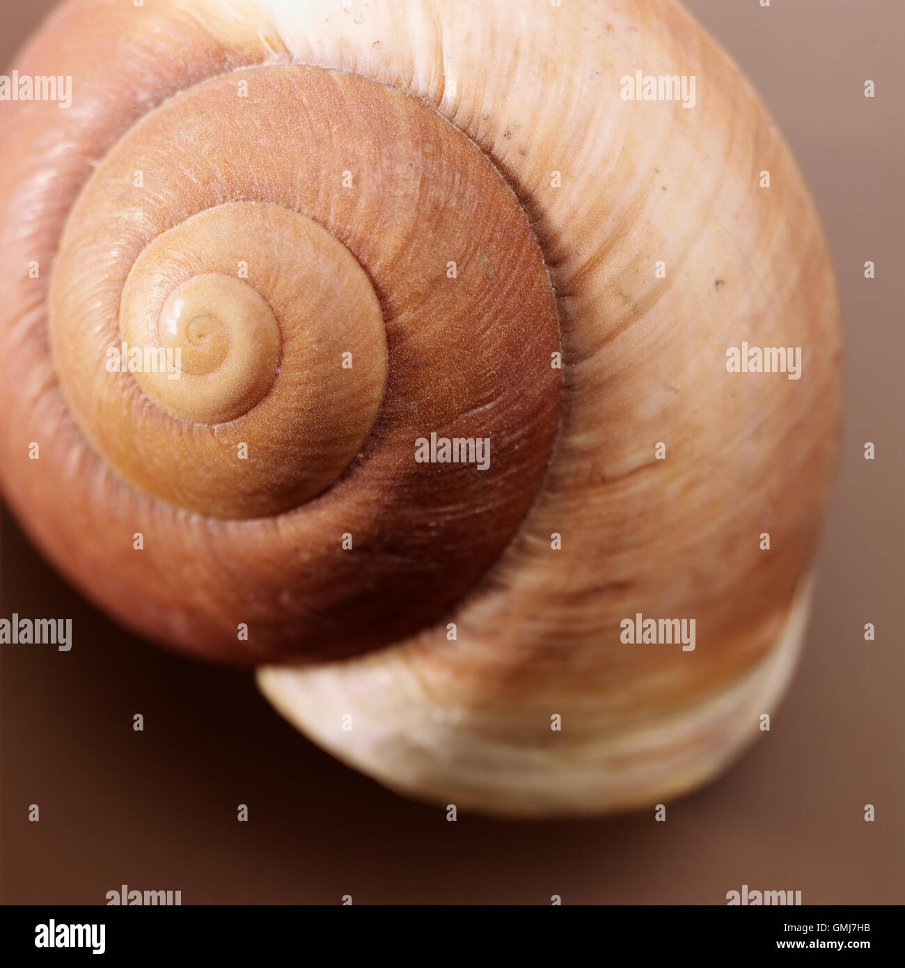 braune Schale Stockfoto