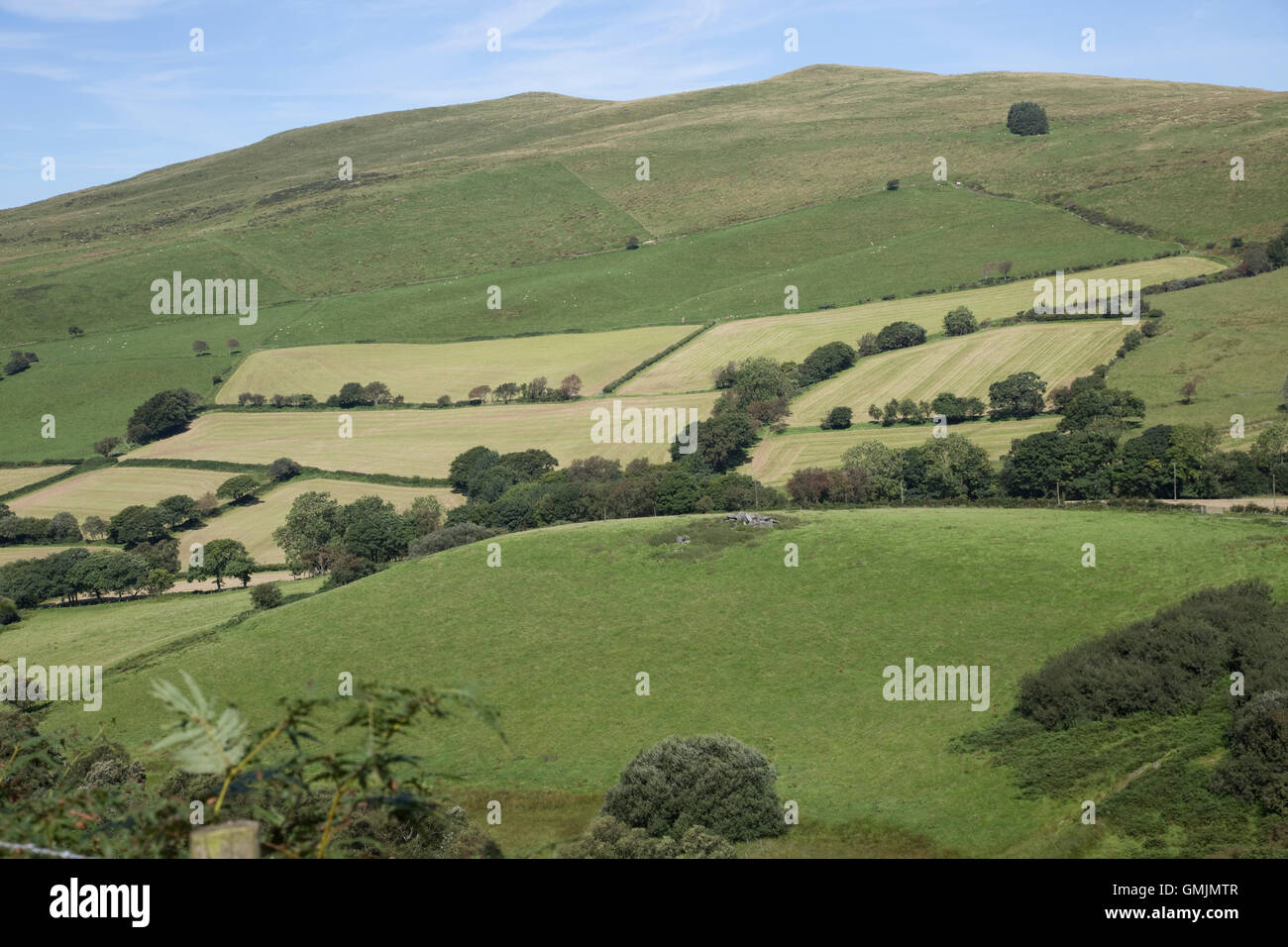 Feld-Grenze-Muster nach der Ernte Moorlandschaften in der Nähe von Pantglas Ceredigion Mid Wales Stockfoto
