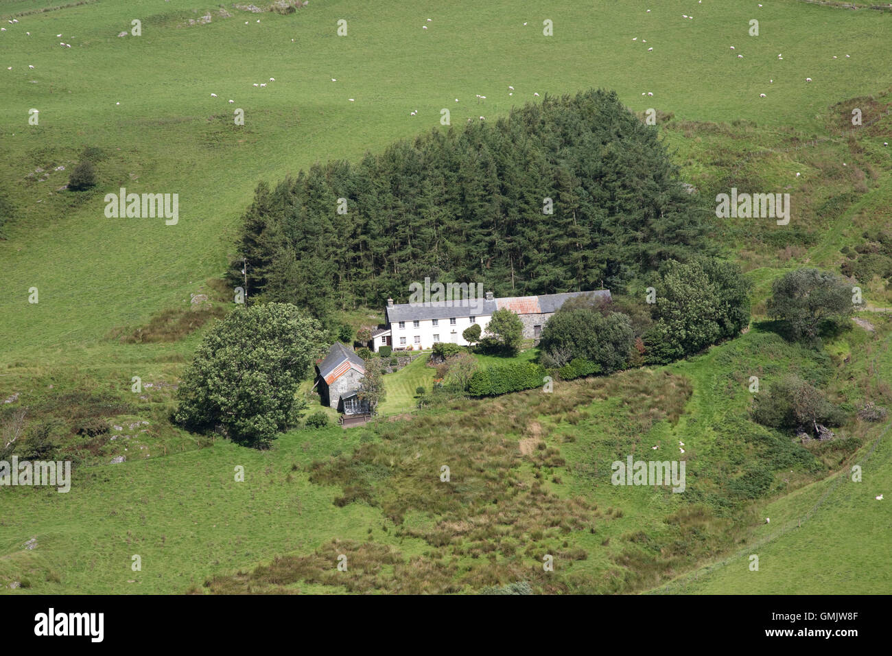 Kleinen walisischen Bergbauernhof in Bergen in der Nähe von Pantglas Ceredigion Mid Wales Stockfoto