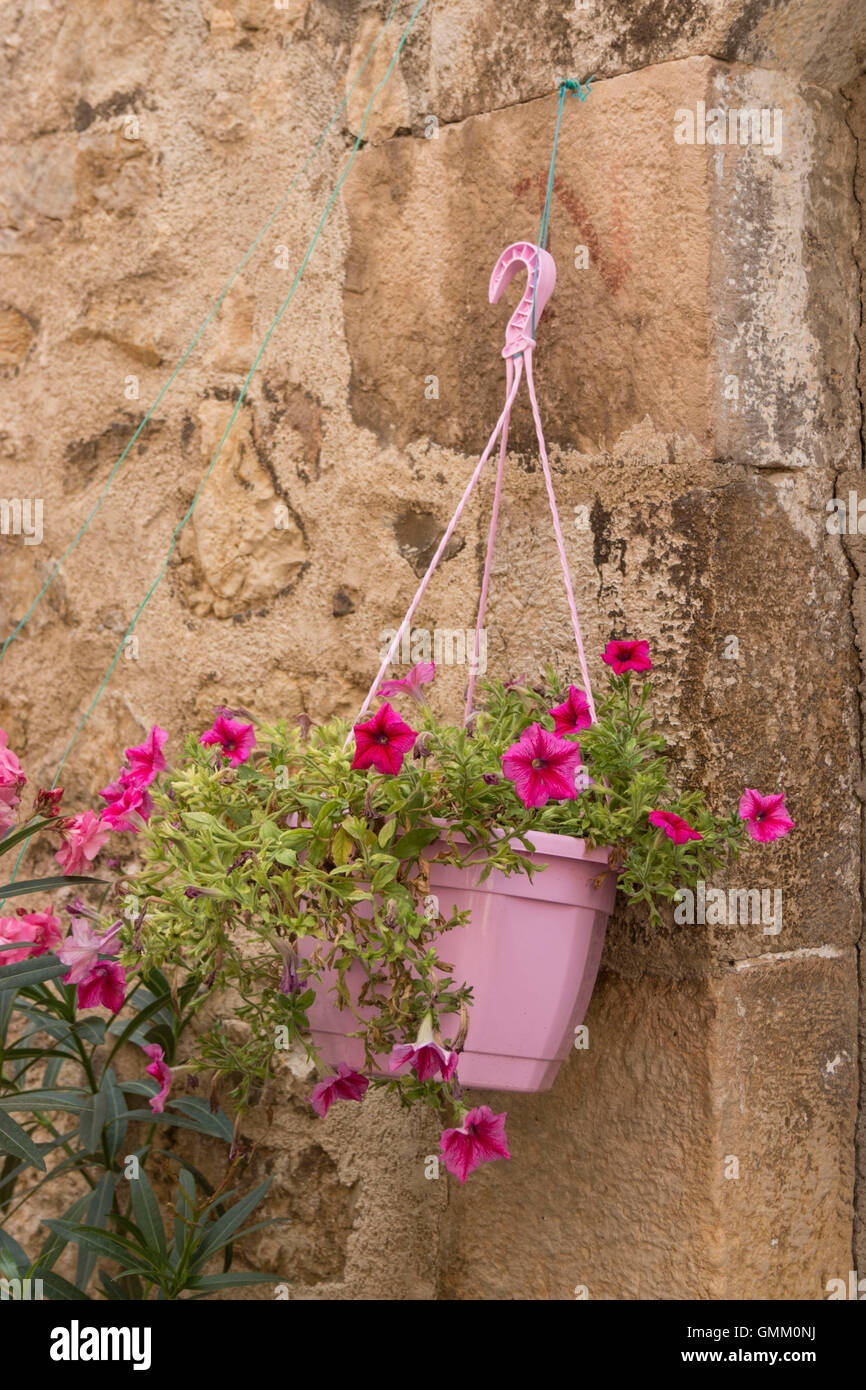 Korb mit rosa Blüten, die an einer Wand hängen Stockfoto