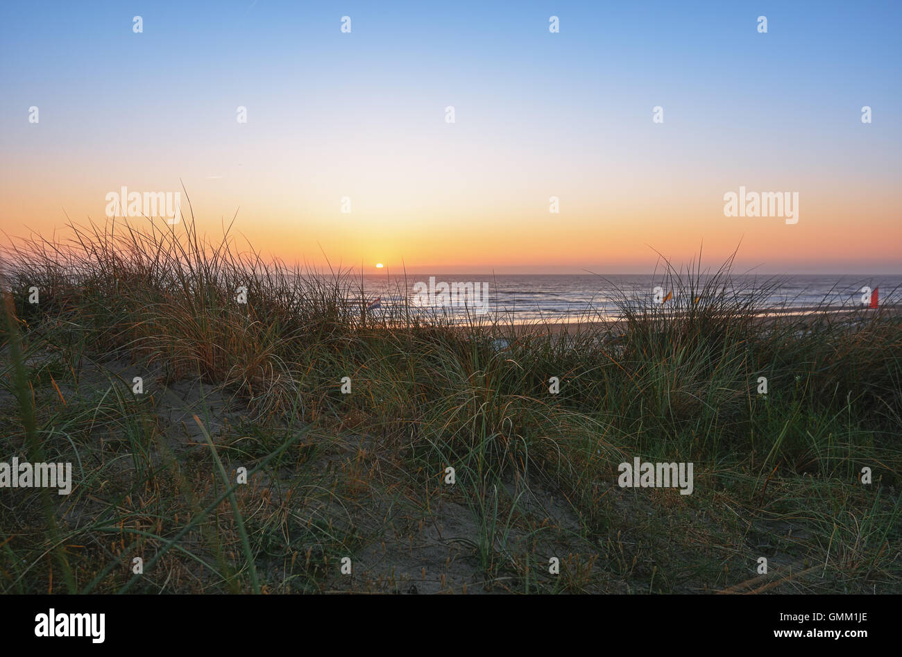 Ein Blick auf die Nordsee durch den Strandhafer während des Sonnenuntergangs. Stockfoto