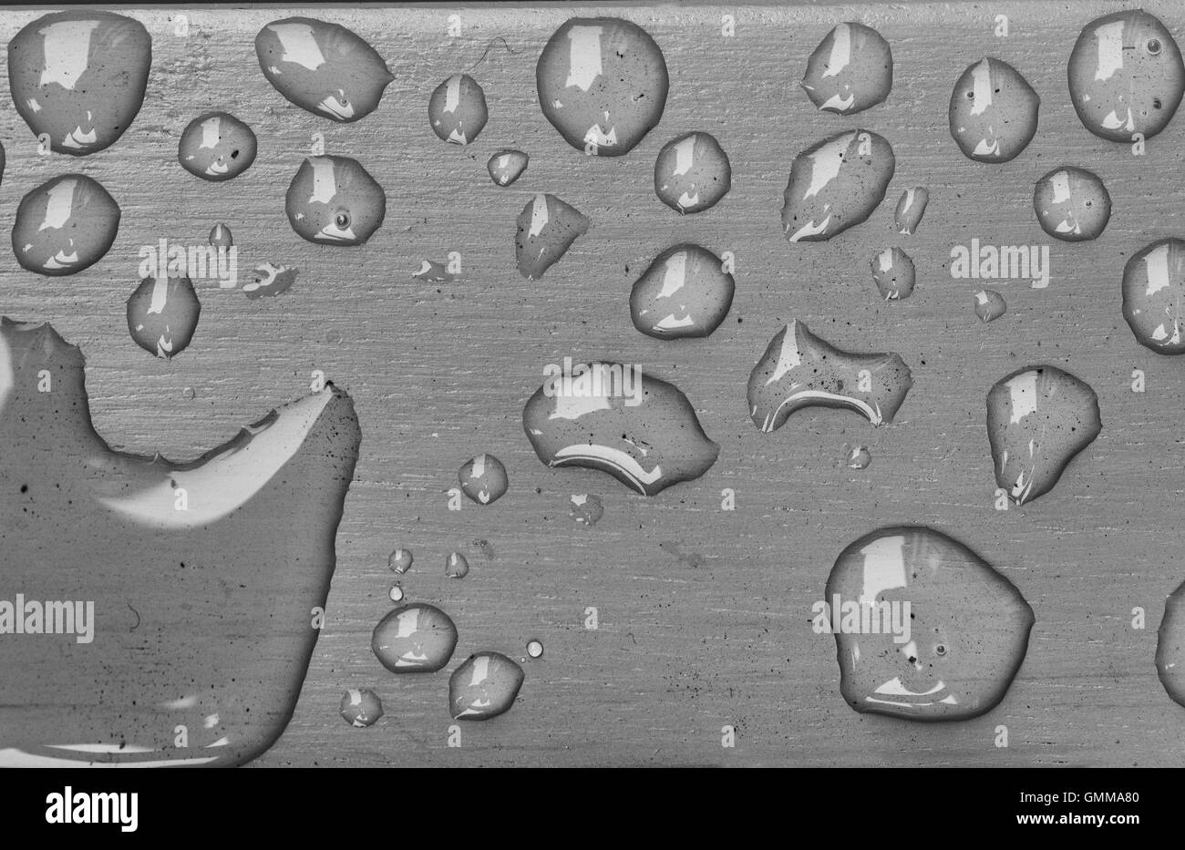 Wasserperlen unter Oberflächenspannung Stockfoto