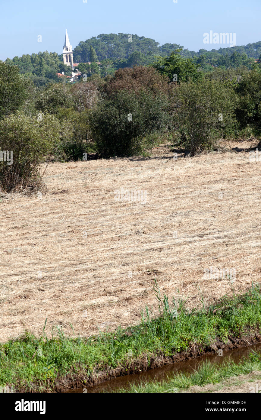 Eine große Ansicht eines Teils von "Barthes' des Monbardon (Soorts-Hossegor - Landes - Frankreich) mit einem Abfluss get rid of Wasser. Stockfoto