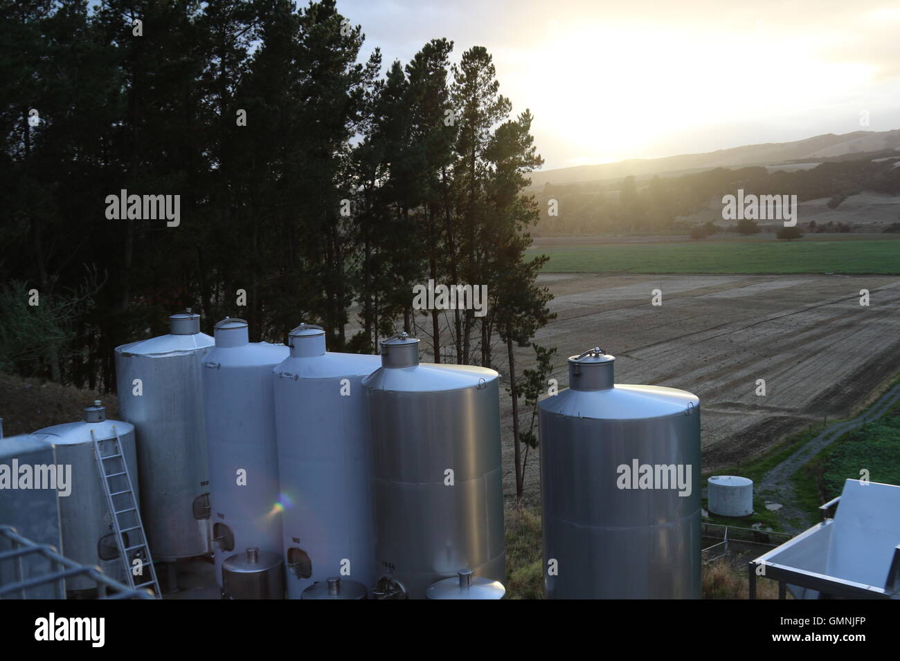 Sonnenaufgang auf dem Weingut der Böschung Weinberg, Martinborough, Neuseeland Stockfoto