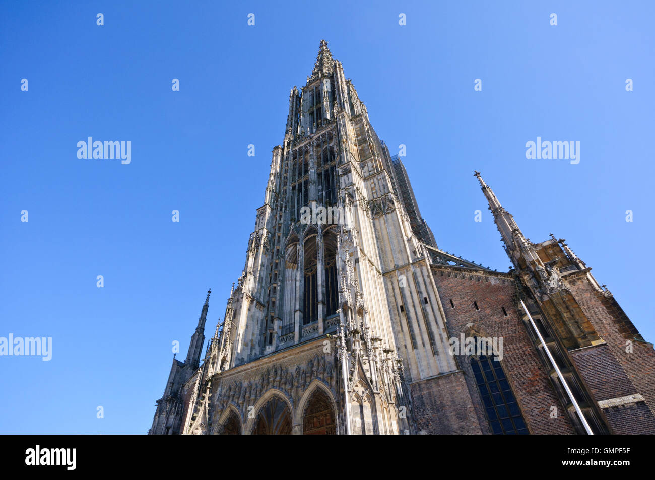 Ulmer Münster Stockfoto