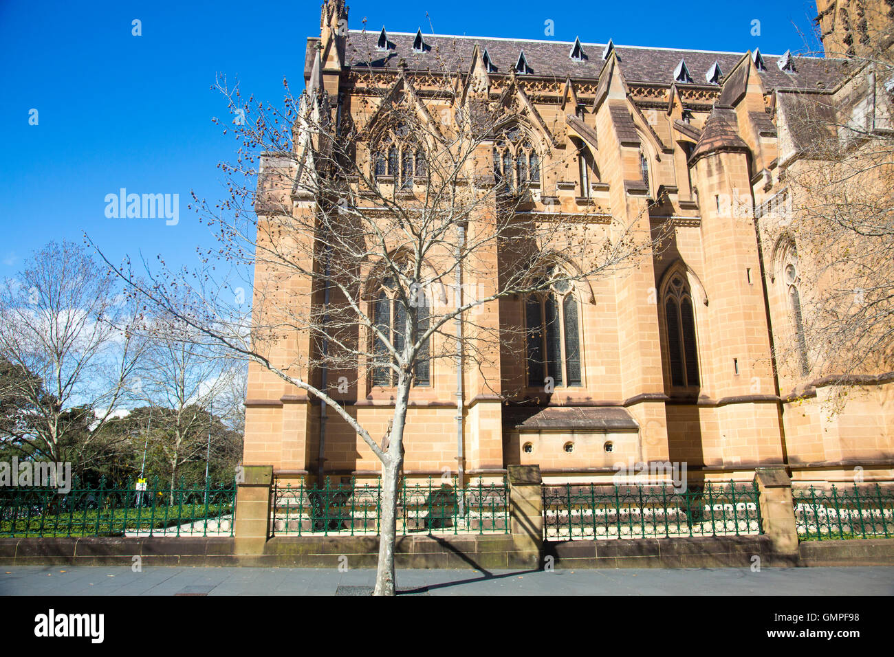 St Marys katholische Kathedrale im College street, Sydney, Australien Stockfoto