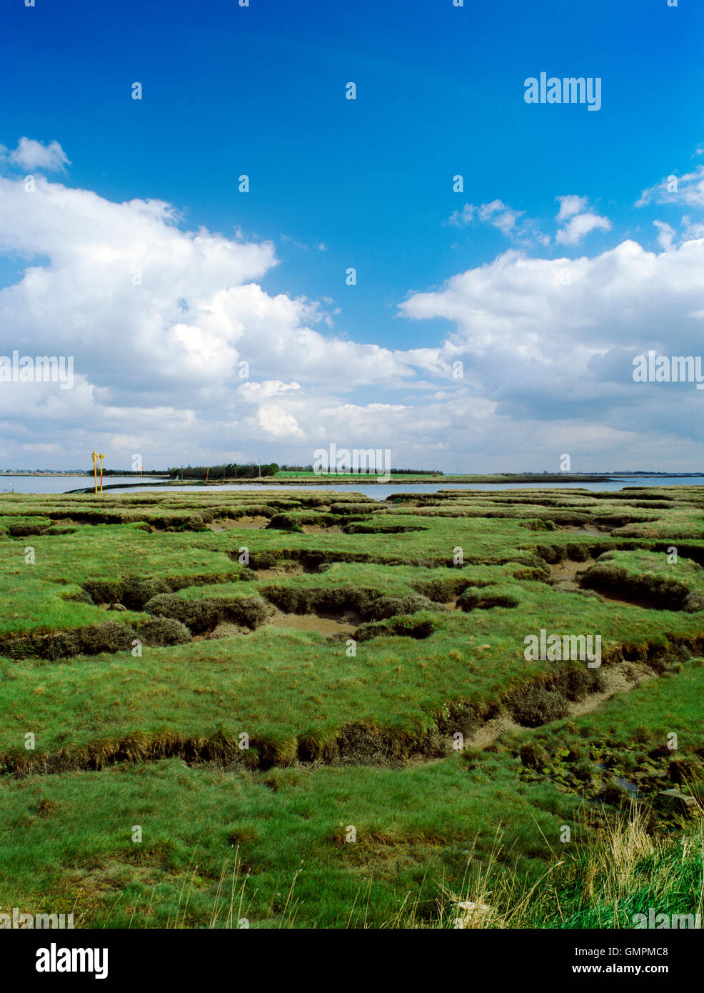 Ort der Schlacht von Maldon, August 991 zwischen Ost Sachsen & Viking Raiders, am Ufer & Salzwiesen gegenüber Hintergrund Insel, Essex gekämpft. Stockfoto