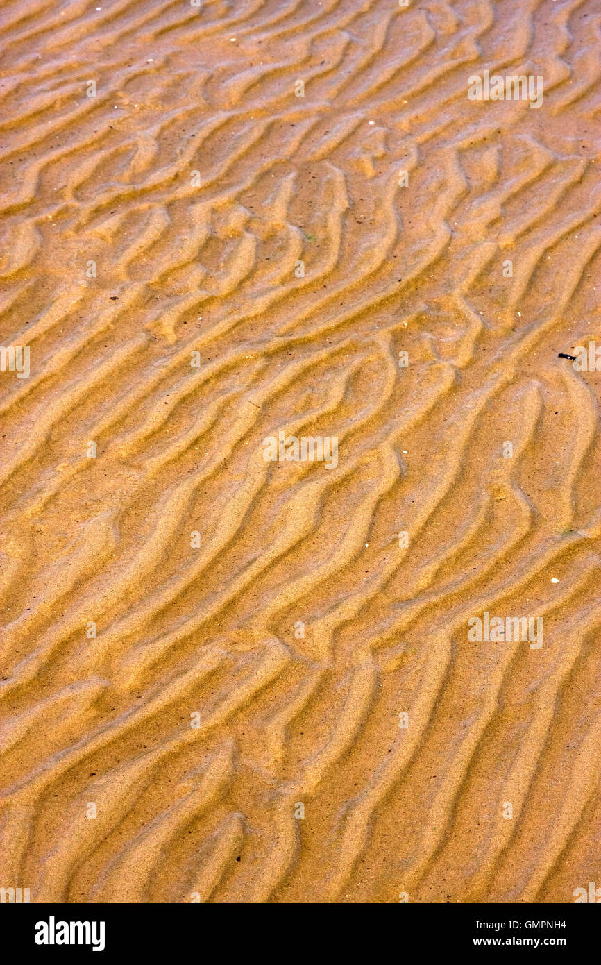 Shore Textur und geschwungene Linie in Rio De La plata Stockfoto