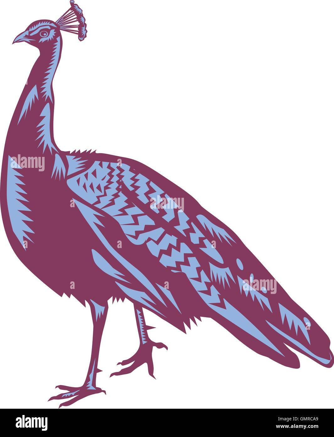 Männliche indische Pfau Holzschnitt Stock Vektor