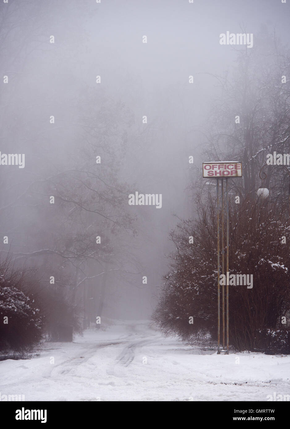 Winterwald Stockfoto