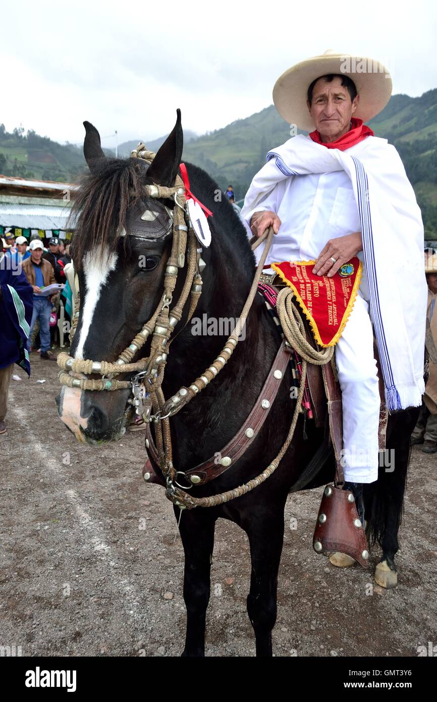 Wettbewerb Paso Fino Pferde - Landwirtschaftsmesse - Fiestas De La Virgen del Carmen in Sapalache "Las Huaringas" - PERU Stockfoto