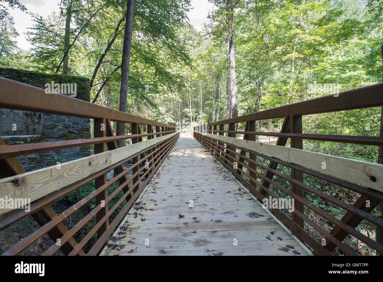 Weitwinkelaufnahme der Gehweg Brücke auf dem Weg nach Catawba River Falls Stockfoto