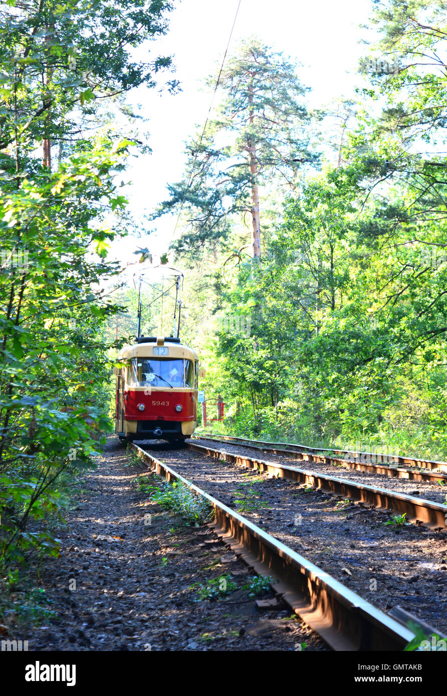 Retro-rote Triebwagen fährt auf der gleichen Bahn den Wald. Stockfoto